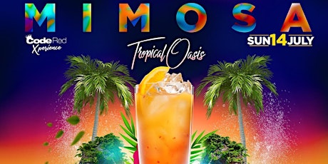 Mimosa “Tropical Oasis” primary image