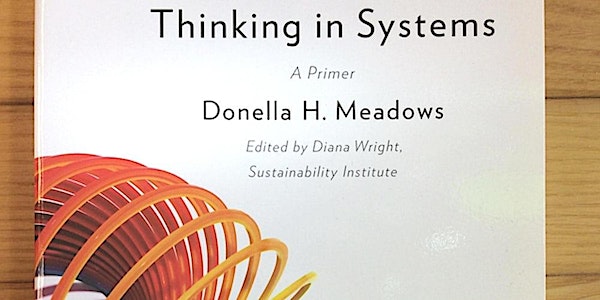 Thinking in Systems Book Sale
