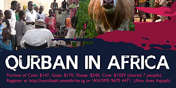 Qurban in Africa 2019