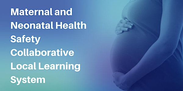 Maternal and Neonatal Health Safety Collaborative Local Learning System 6