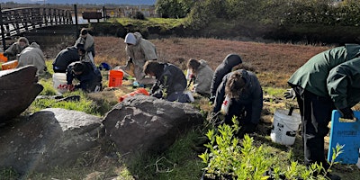Volunteer Planting Workday at Ravenswood Open Space Preserve