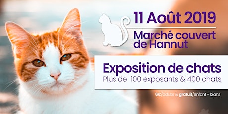 Primaire afbeelding van Exposition internationale de chats à Hannut | AAAF