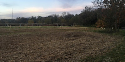 Hauptbild für Tree Planting in Neshaminy State Park, PA- (Locust Lane) Spring/Fall 2024