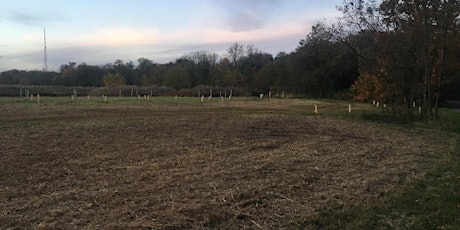 Tree Planting in Neshaminy State Park, PA- (Locust Lane) Spring/Fall 2024