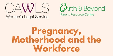 Imagen principal de Pregnancy, motherhood and the workforce