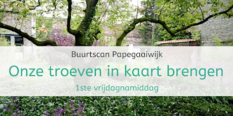Primaire afbeelding van Buurtscan Papegaaiwijk - 1ste sessie: Onze troeven in kaart brengen