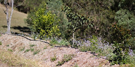 Permaculture Inspired Orchards primary image