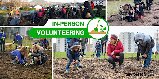 Primaire afbeelding van Tiny Forest Planting Day: New River Sports Ground, Haringey