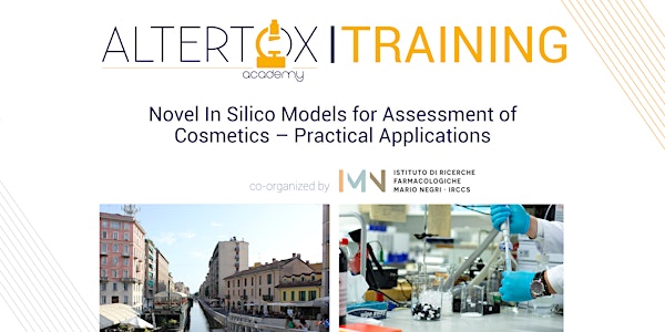 Novel In Silico Models for Assessment of Cosmetics – Practical Applications 