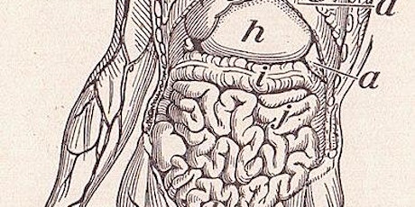 Viscera anatomy CPD