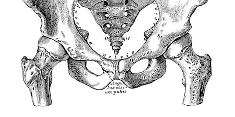 Imagem principal do evento Fan of the hips anatomy CPD