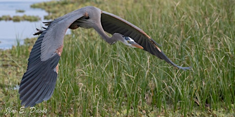 Hauptbild für Wildlife & Invasive Species Education (WISE) 2024