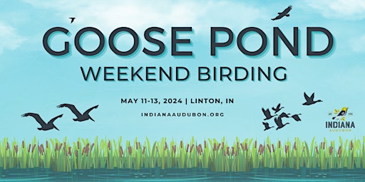 Imagem principal do evento Goose Pond Weekend Birding 2024