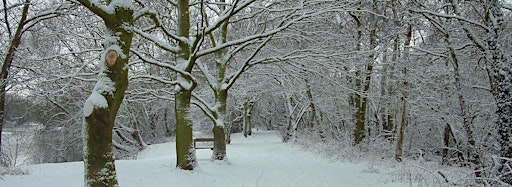 Imagen de colección para  Winter time at Warwickshire Country Parks