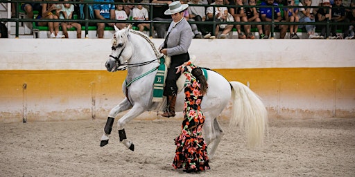 Imagem principal do evento Espectáculo de caballos + flamenco + cena | Horse show + flamenco + dinner
