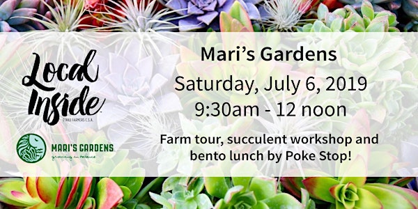 Local Inside Mari's Gardens Farm Tour & Succulent Workshop