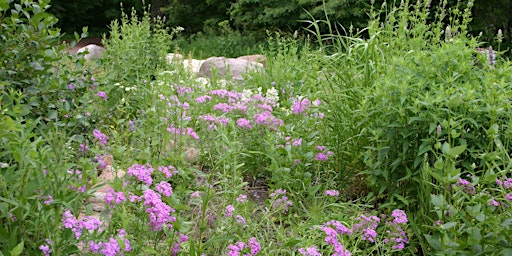 Native Garden Planning Workshop primary image