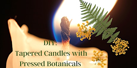 DIY: Tapered Candles with Botanicals primary image