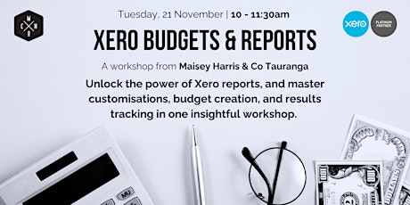 Xero Budgets & Reports  primärbild