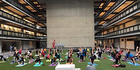 Yoga to Benefit Friends Connect Foundation