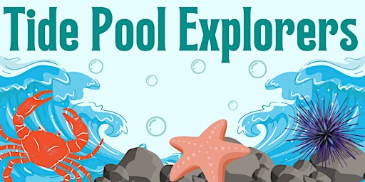 Imagem principal do evento Tide Pool Explorers - Friday