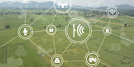 WebValley 2019: l’agricoltura a colloquio con l'intelligenza artificiale
