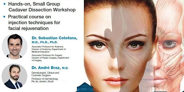 Facial Anatomy & Injection Master Course - Dr. Cotofana & Dr. Braz