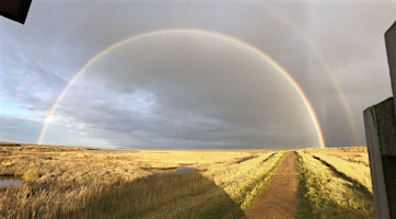 Mindfulness walk (13 May) primary image