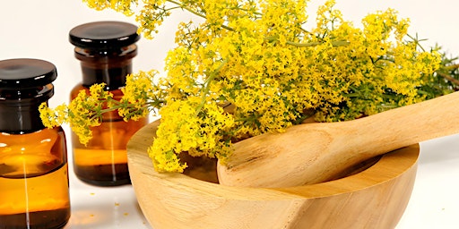 Imagem principal de Arzneipflanzen-Workshop in Wien: Pflanzliche Wirkstoffe aus der Natur