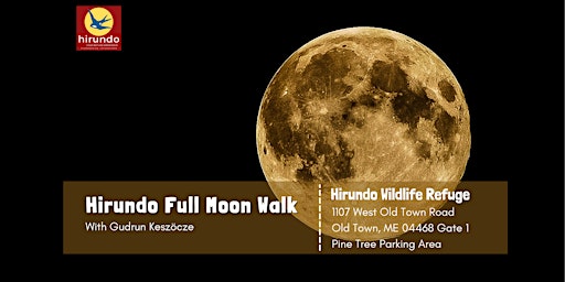 Imagem principal do evento Hirundo Full Moon Walk