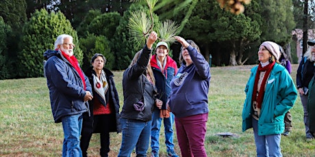 Winter Tree ID Walk & Holiday Potluck primary image