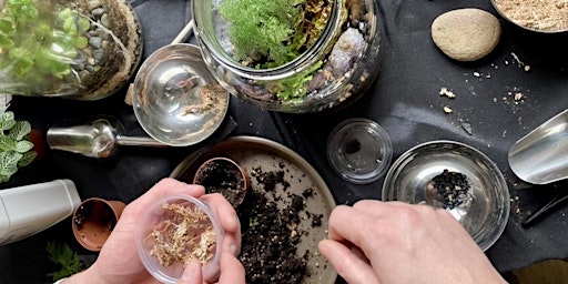 One Gallon BioActive Terrarium Workshop: Sunday May 12th , 10-12pm primary image