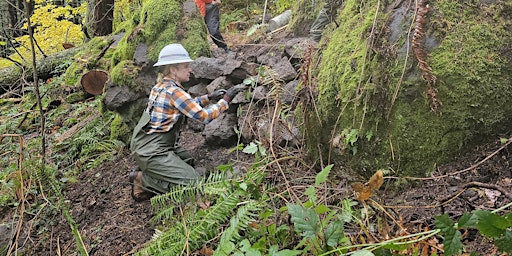 Imagem principal do evento DIG DAY - Cascade Locks Trail Construction