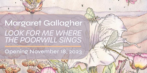 Imagem principal do evento Margaret Gallagher: Look For Me Where The Poorwill Sings Opening Reception