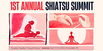 1st Annual Shiatsu Summit primary image