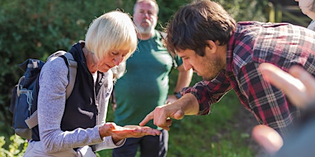 FORAGE & NIBBLE with Alpkit in Keswick