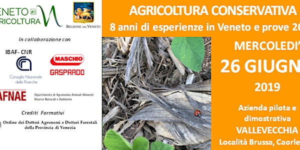 AGRICOLTURA CONSERVATIVA: 8 anni di esperienze in Veneto e prove 2019