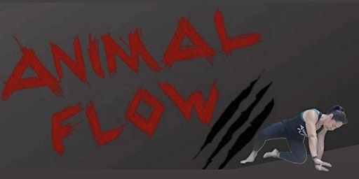 - INTRO CLASSES - ANIMAL FLOW primary image