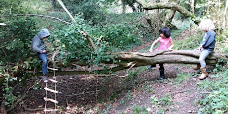 Earthwise: Summer Forest Fun - Torhill Wood primary image