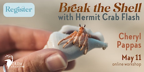 Imagen principal de Break the Shell: with Hermit Crab Flash