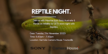 Reptile Photography primary image