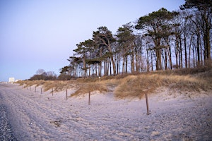 Primaire afbeelding van FOTO Tagesworkshop Küstenwald