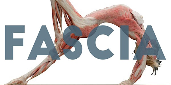 Fascinating Fascia Anatomy CPD