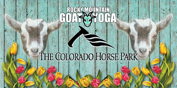 Goat Yoga - July 12th (Colorado Horse Park)