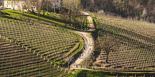 Hauptbild für Piemontgravel 2024