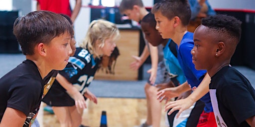 Imagem principal de Basketball Stars Saturday Morning Clinic K-3rd grade