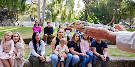 Reptiles Feed & Talk