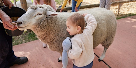 Farmyard Funtime