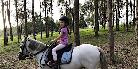 45min Holiday Horse Experience (5yrs+) primary image