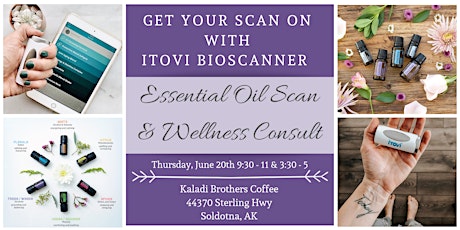 Essential Oil Scan & Wellness Consult primary image